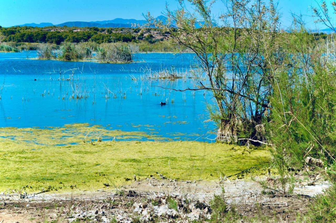 Refugio De Tranquilidad En Gran Alacant Bagian luar foto